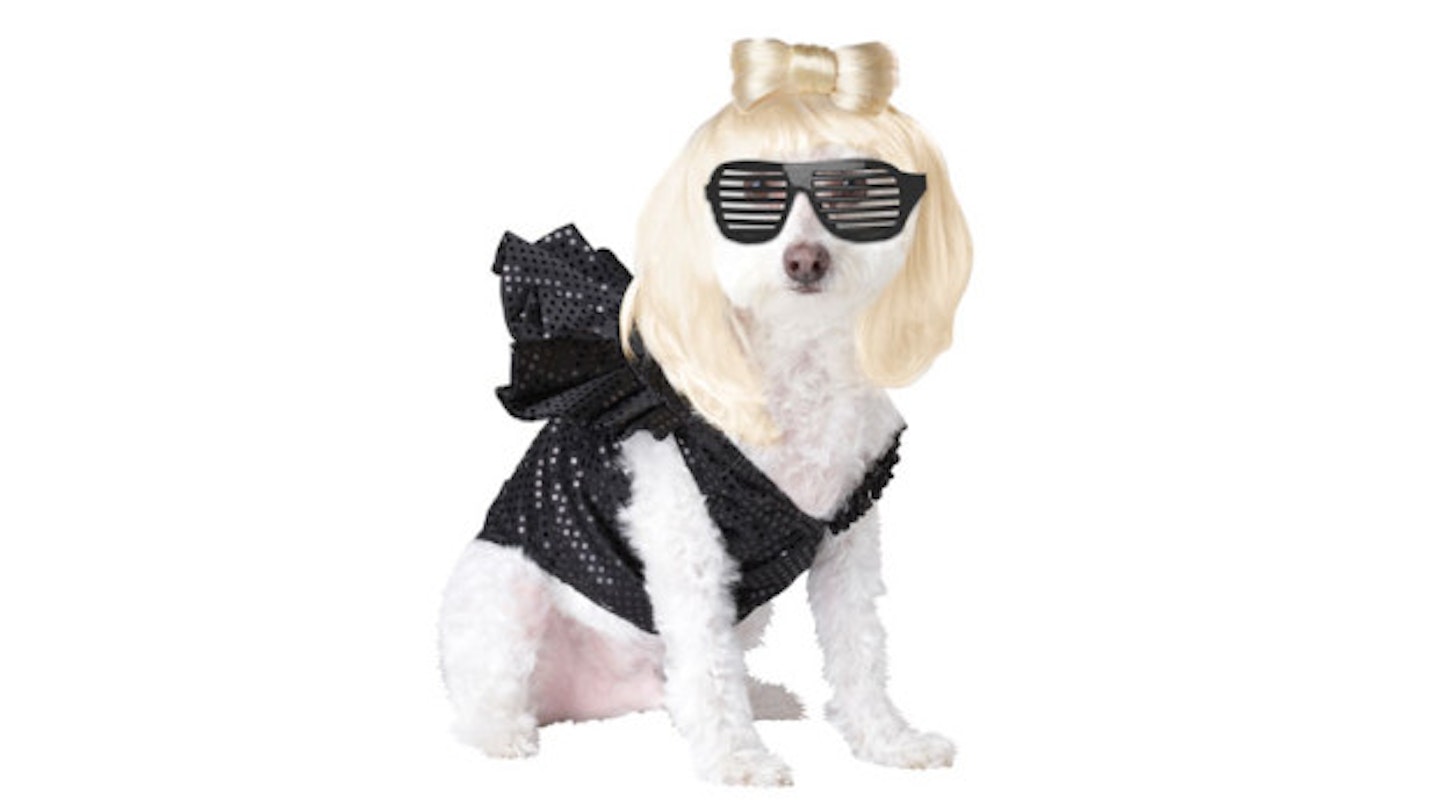 Pop Queen Dog Costume