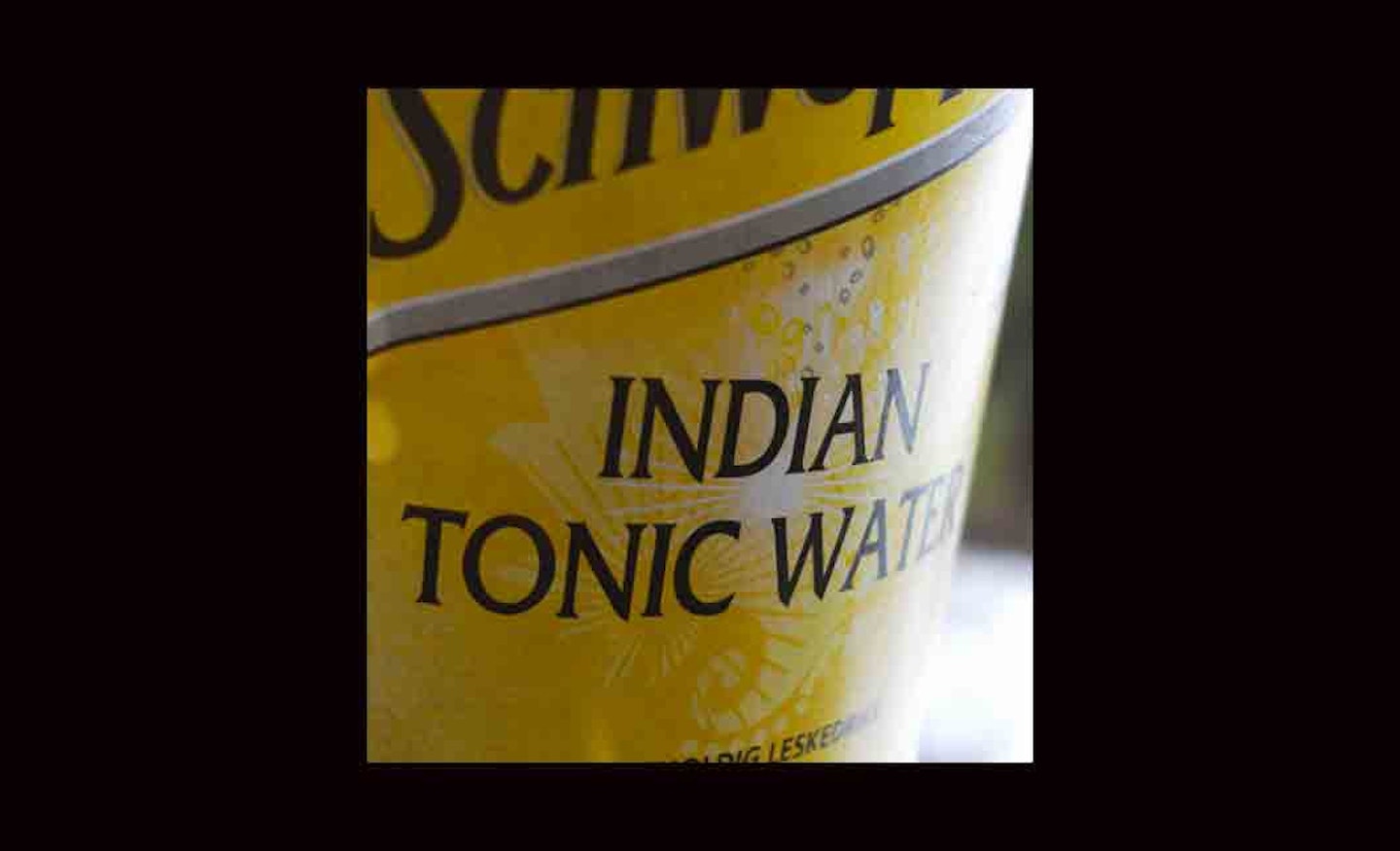 11. Tonic + Salt