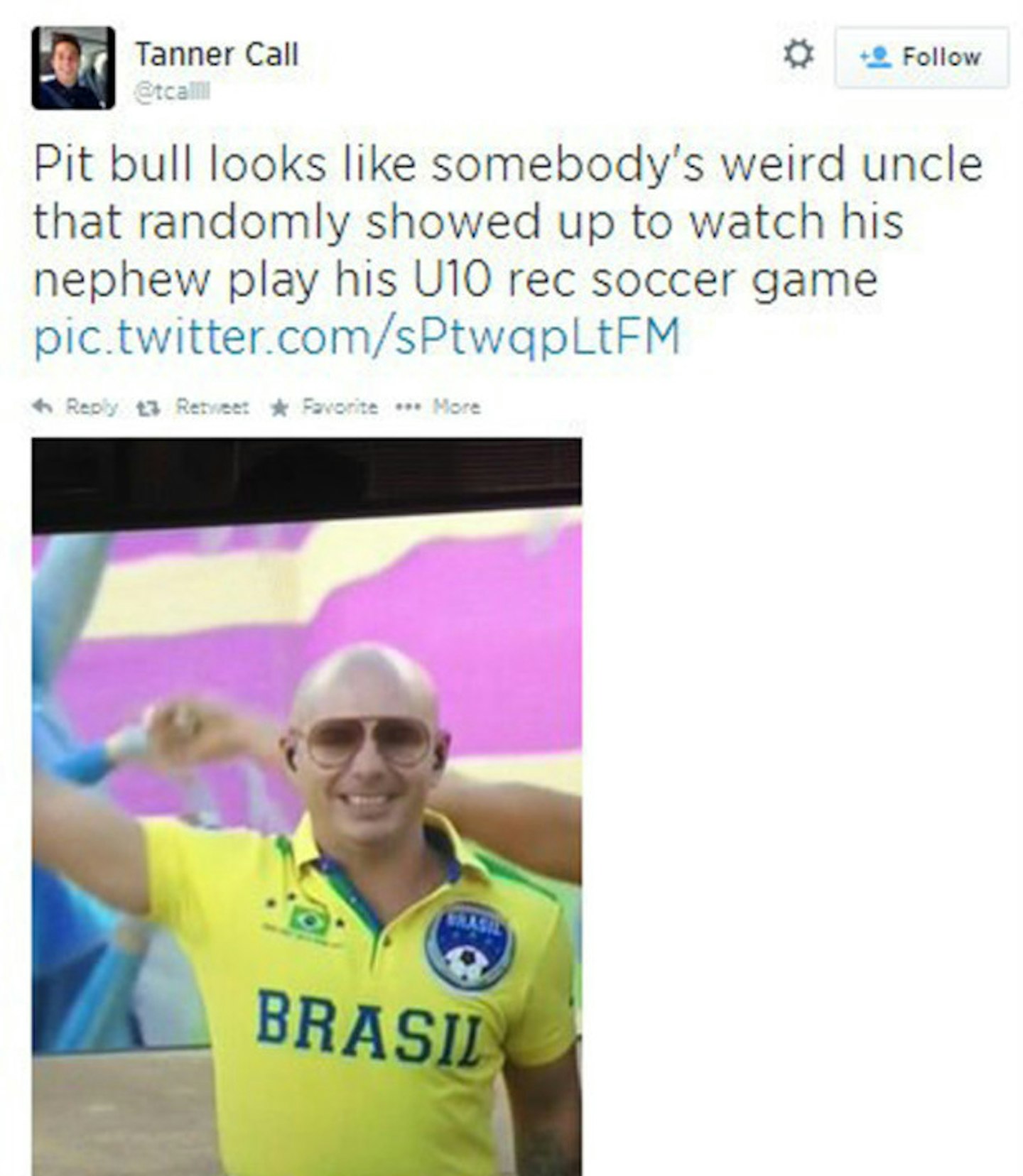 pitbull7