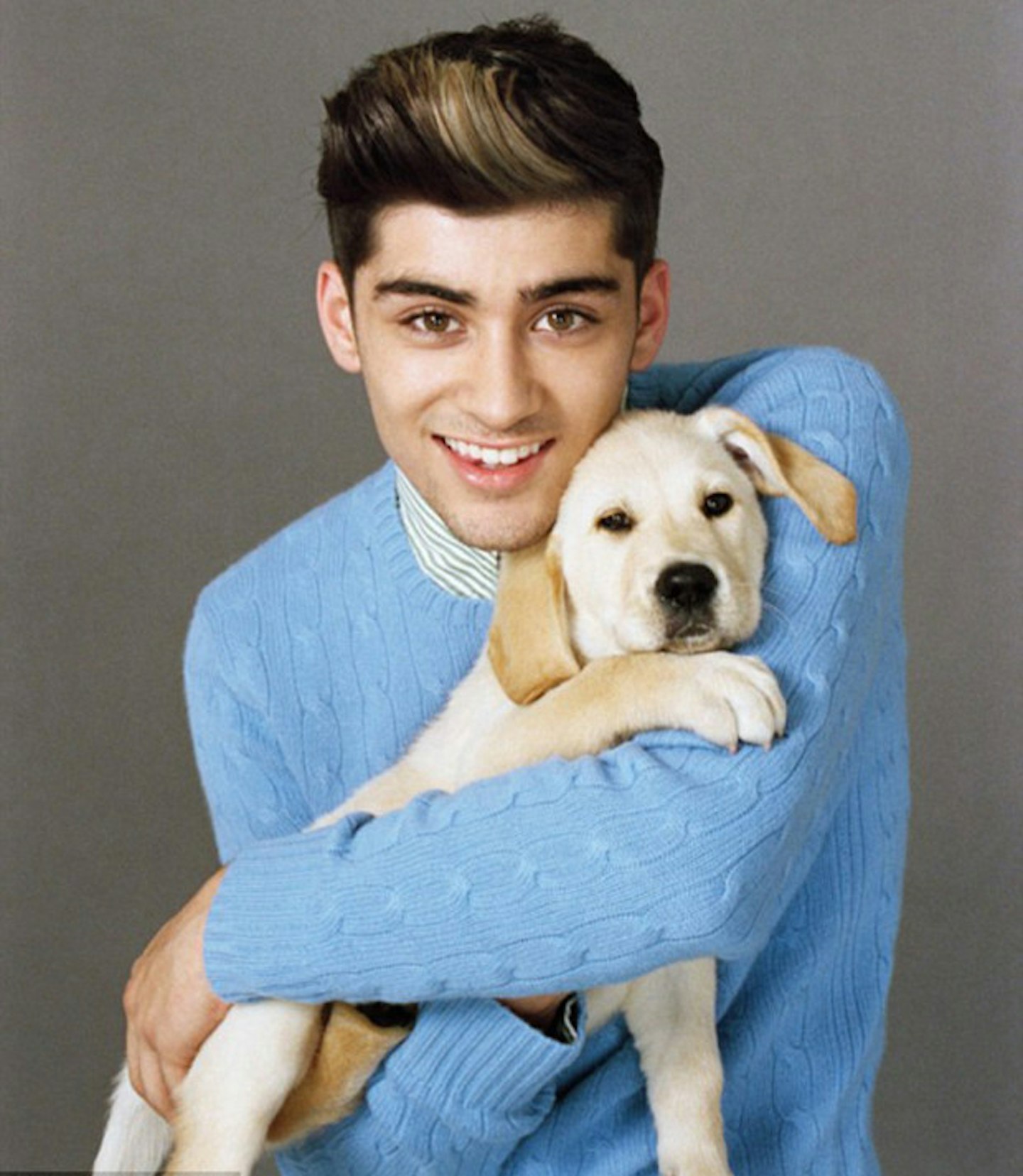 zayn-puppy-wonderland