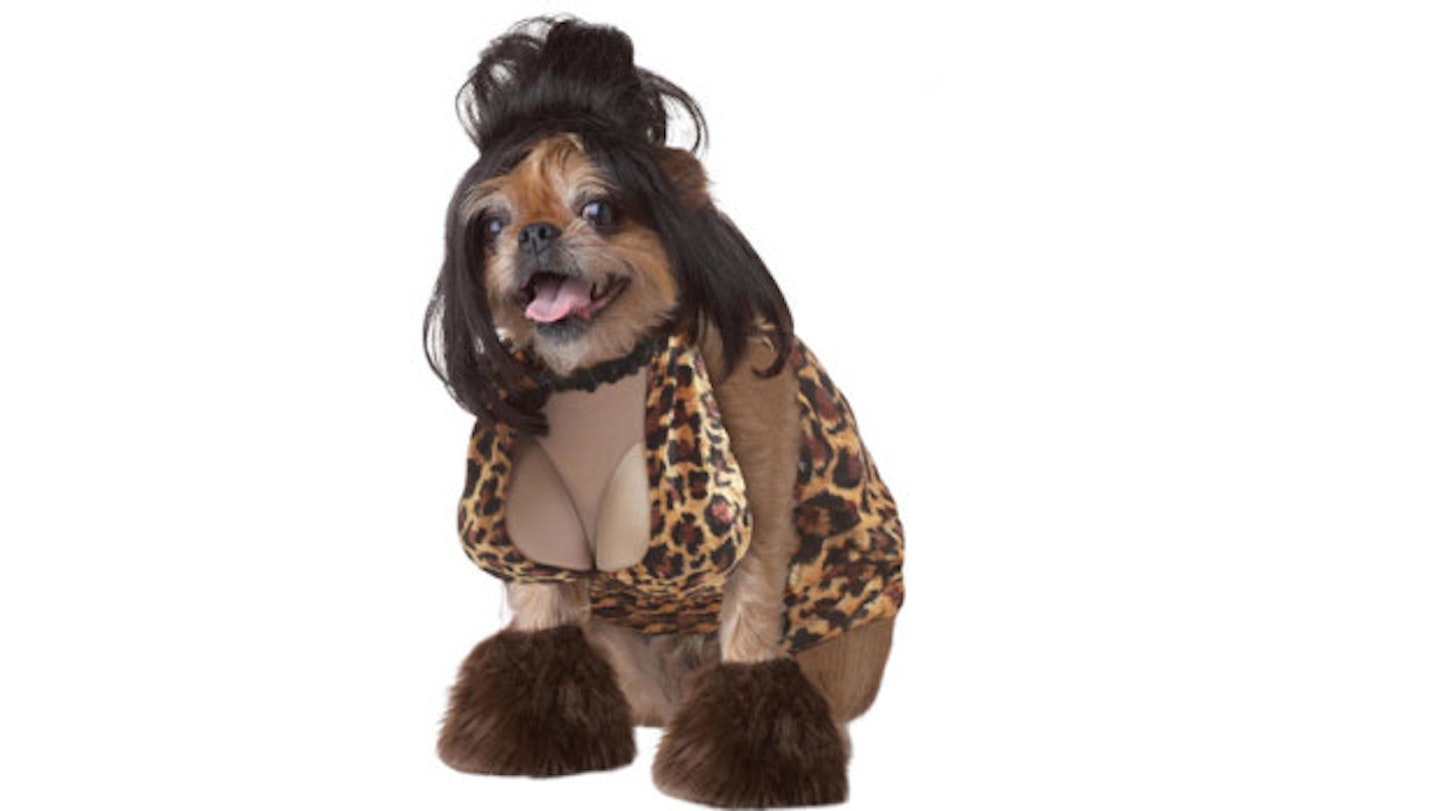 Lady Is a Tramp Dog Costume