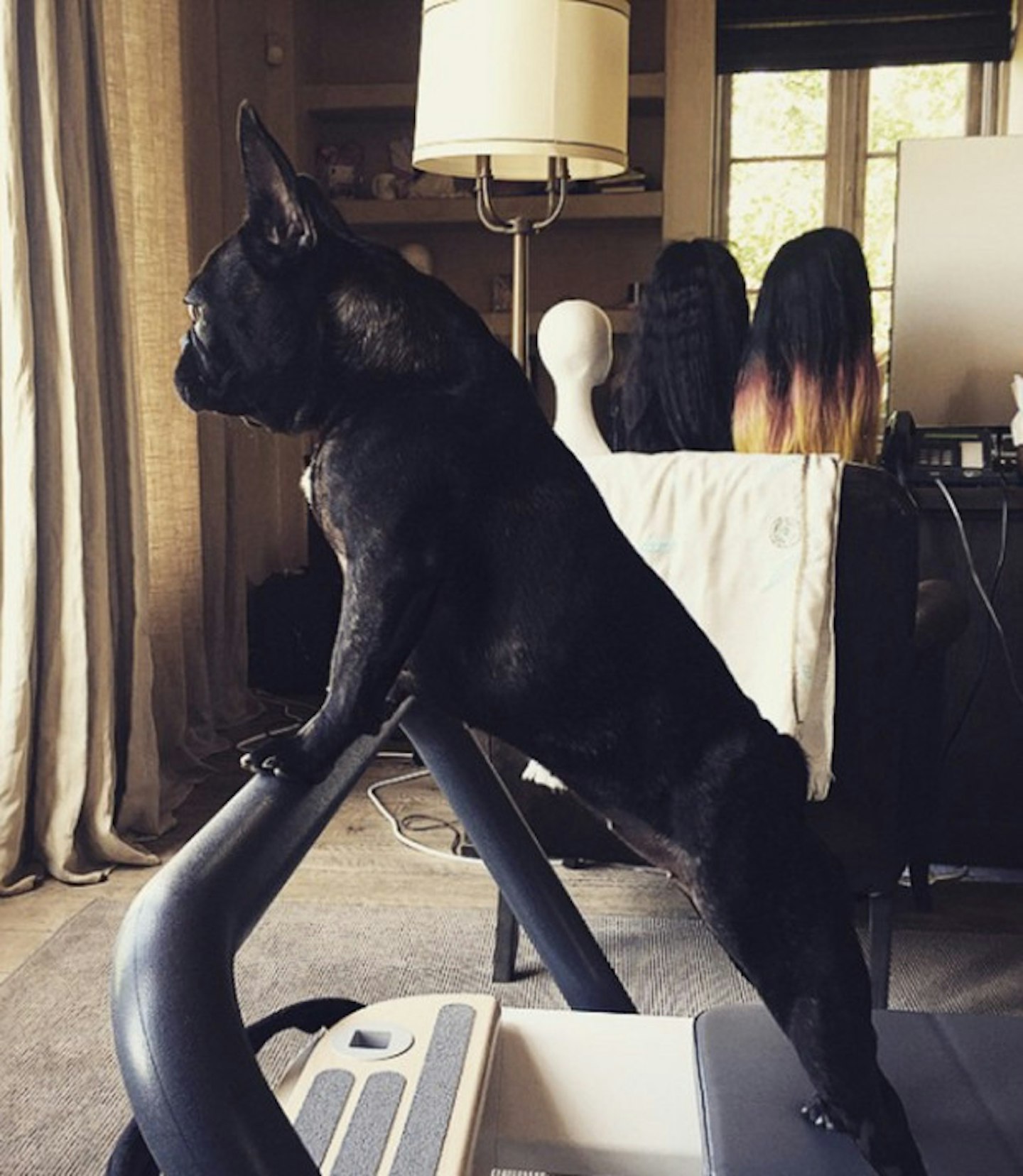 Happy National Puppy Day! Paws up to all my puppies. Stay inspired today with some puppy Pilates, health is #1!