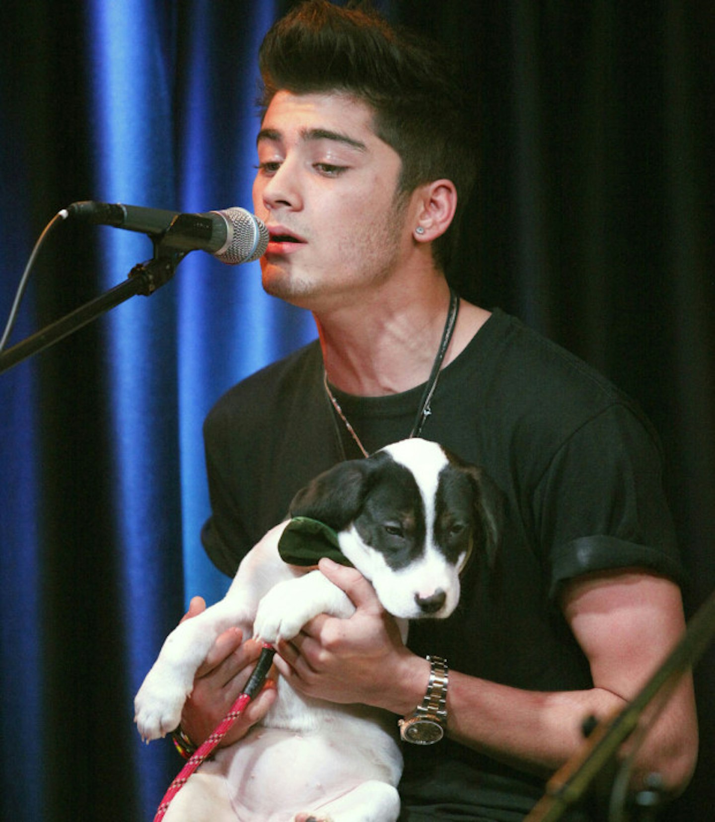 zayn-malik-dog2