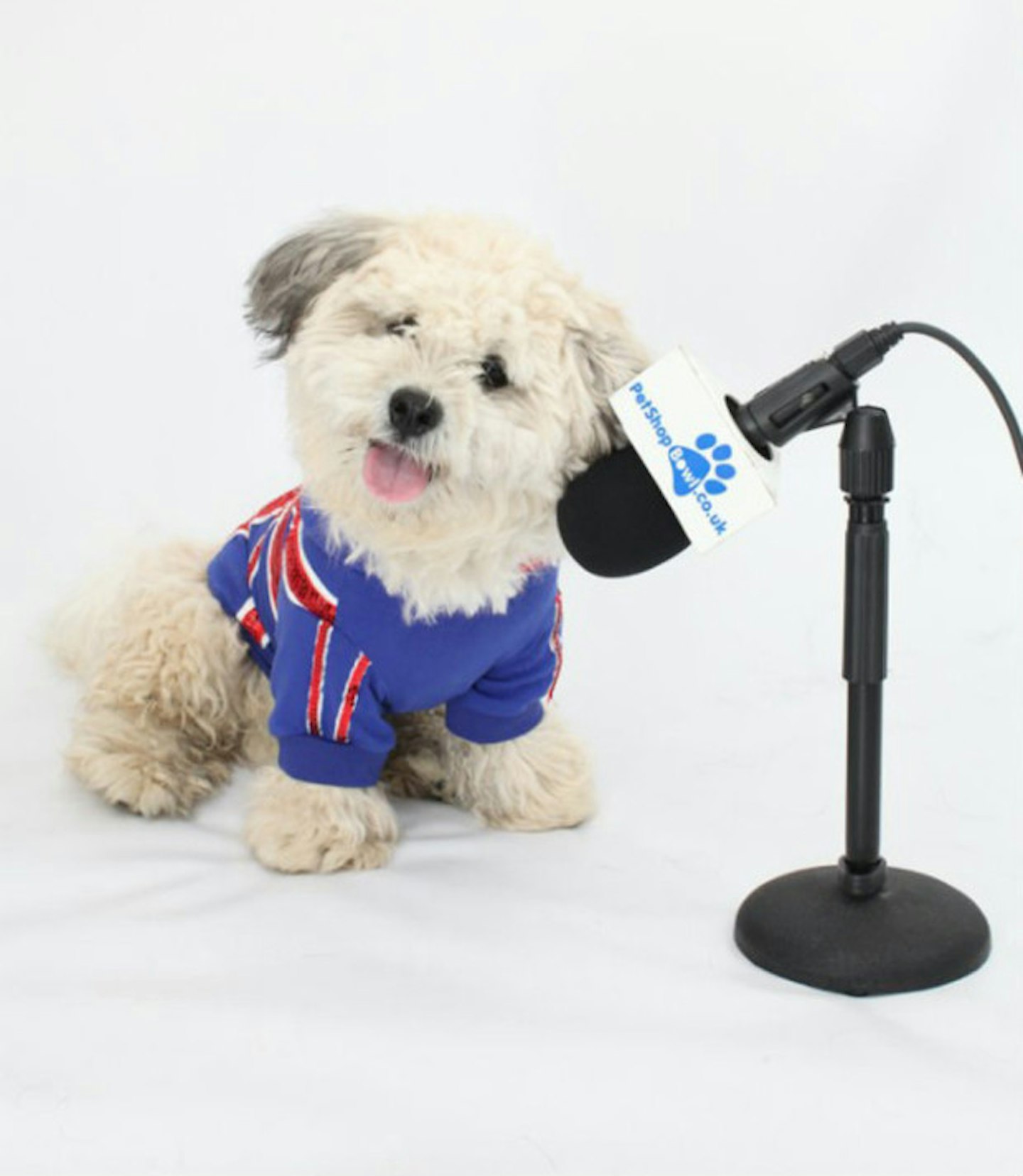 united-kingdom-eurovision-song-contest