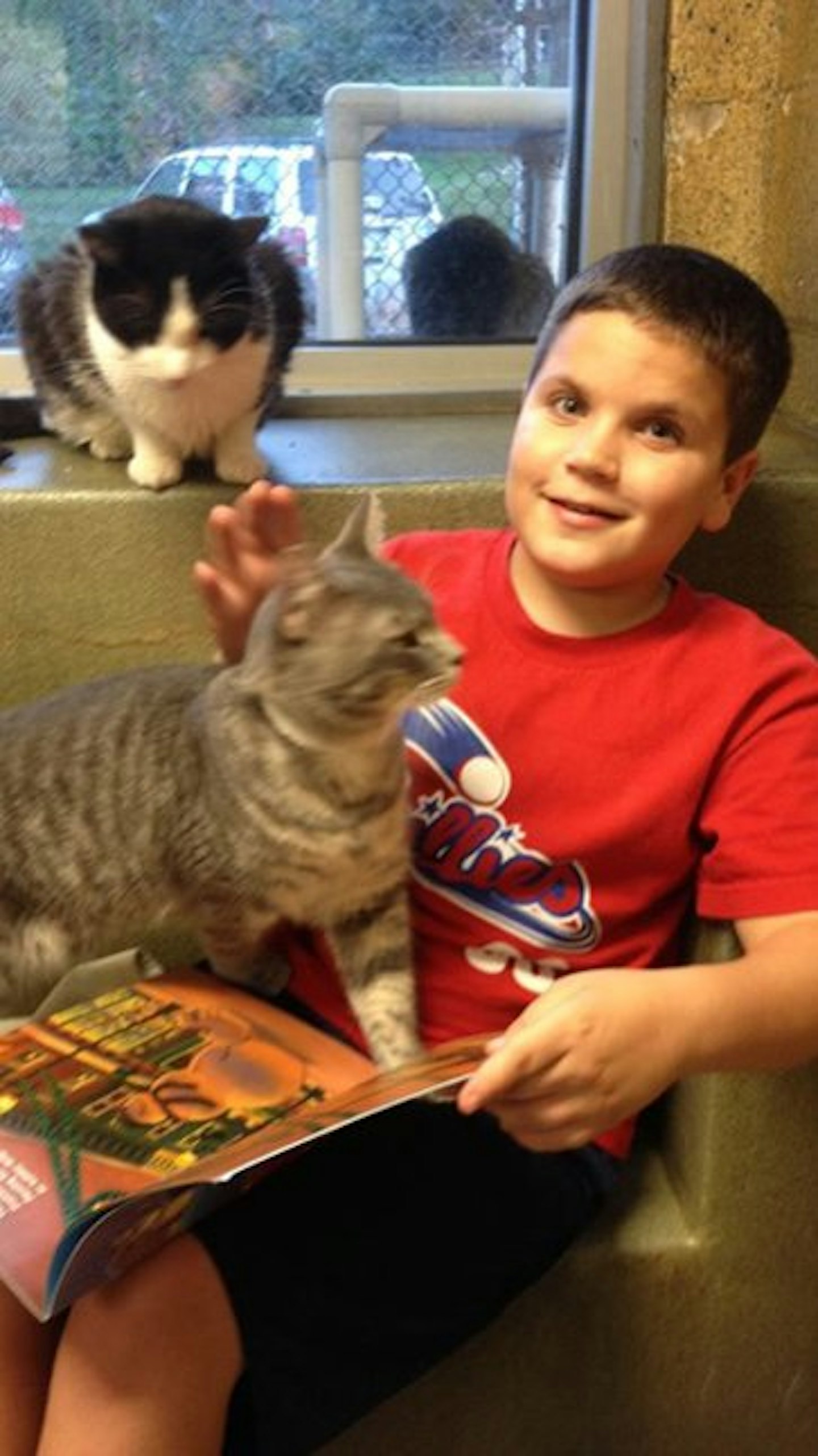 cats4