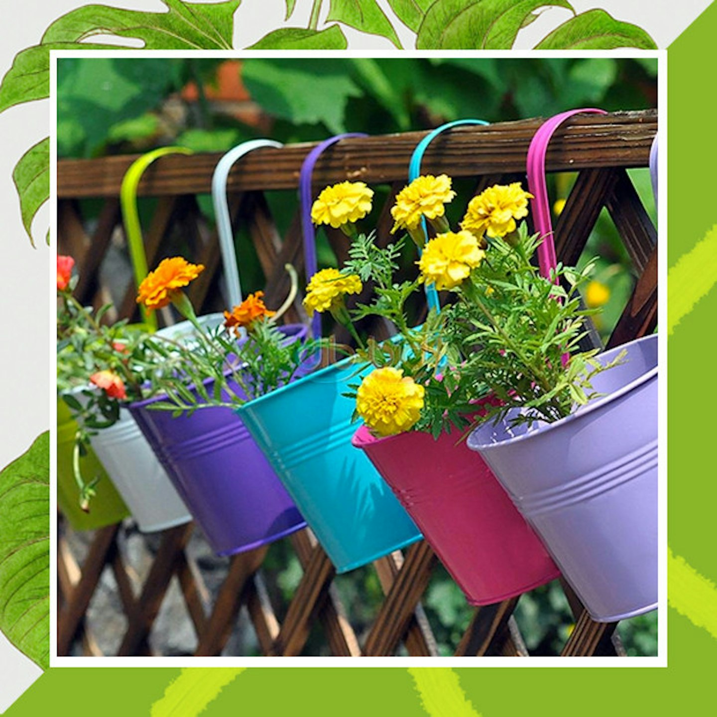 flower pots