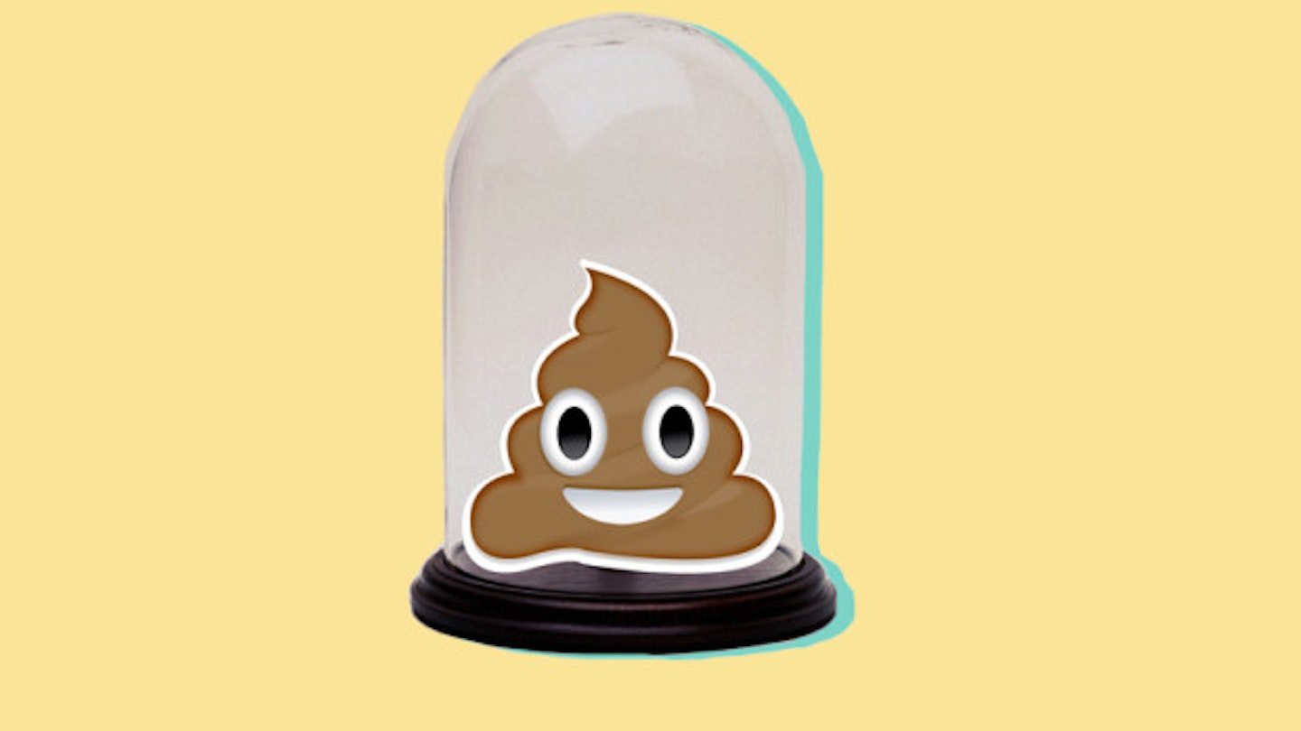 Here's What's Going To Be In The New Museum Dedicated To Poo