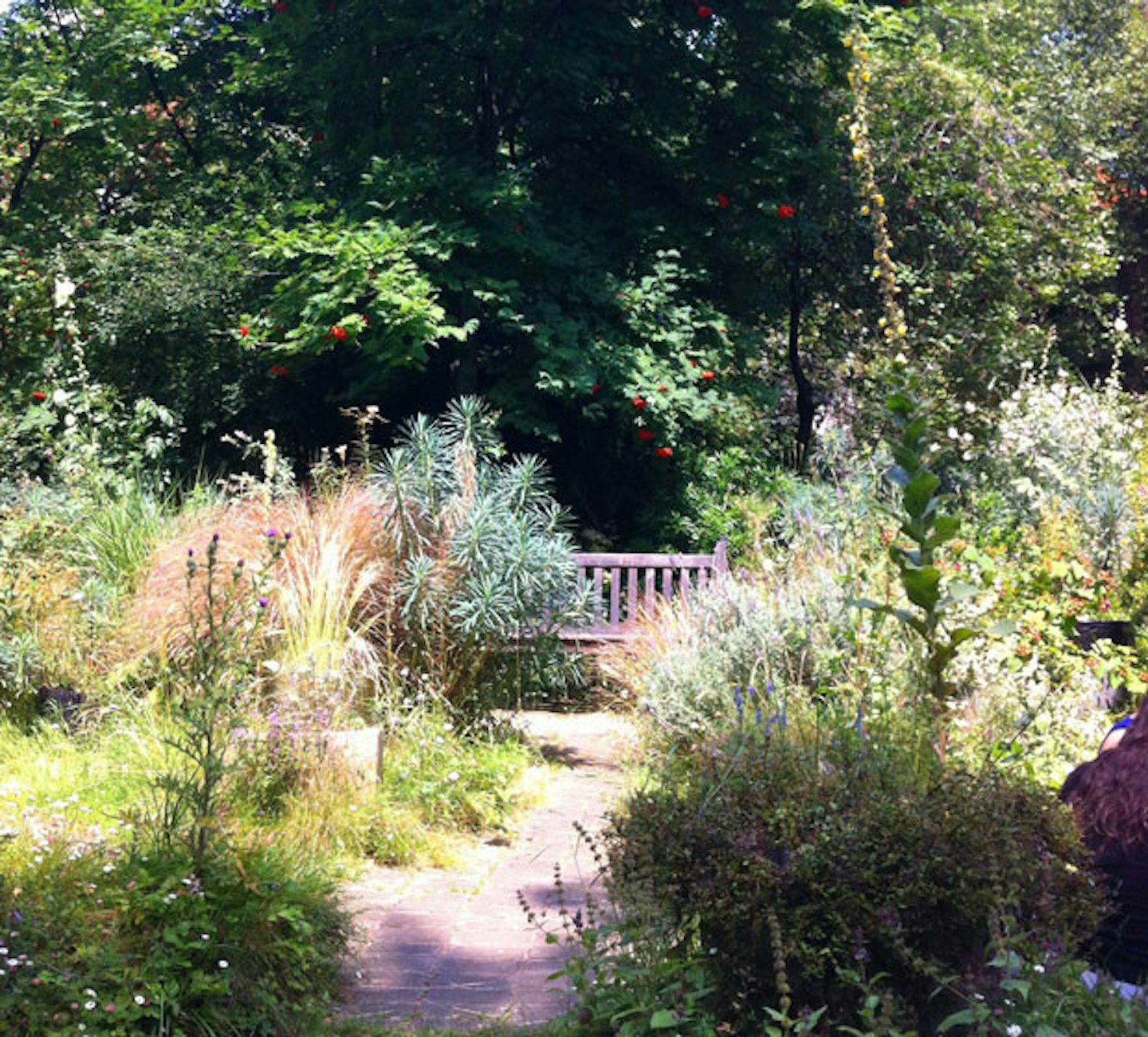 phoenix_gardens