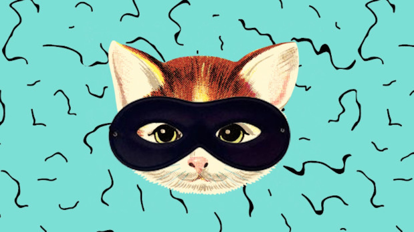 The Real Life 'Cat Burglar' Caught Stealing Neighbours' Underwear. Sure.