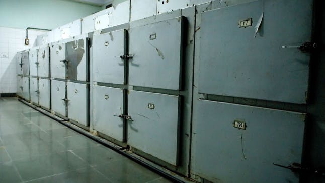 Woman found dead after shutting herself in chest freezer Closer