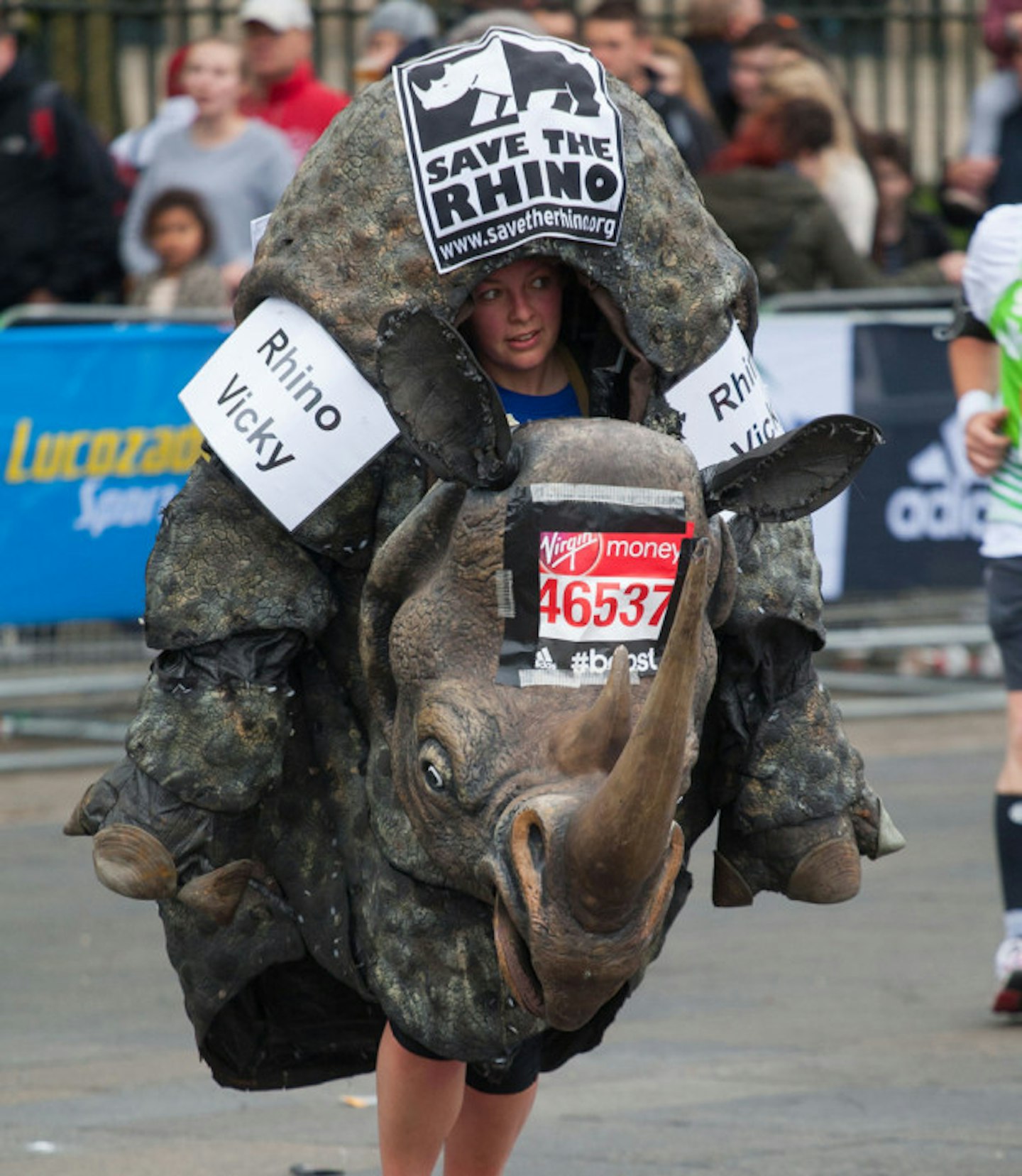 Vicky The Rhino
