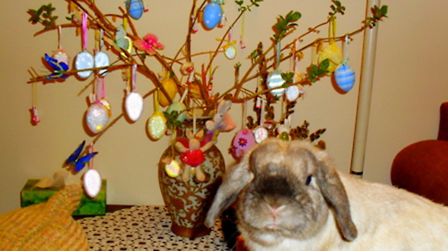 eastertree