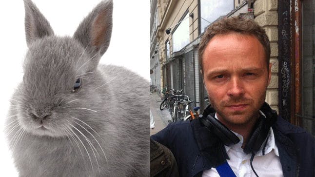 Outrage as radio presenter beats rabbit to death live on air | Closer