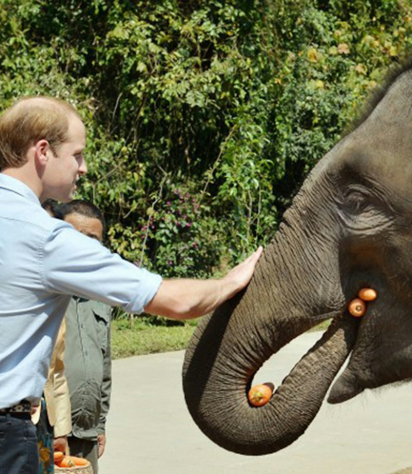 Prince-William-elephant5