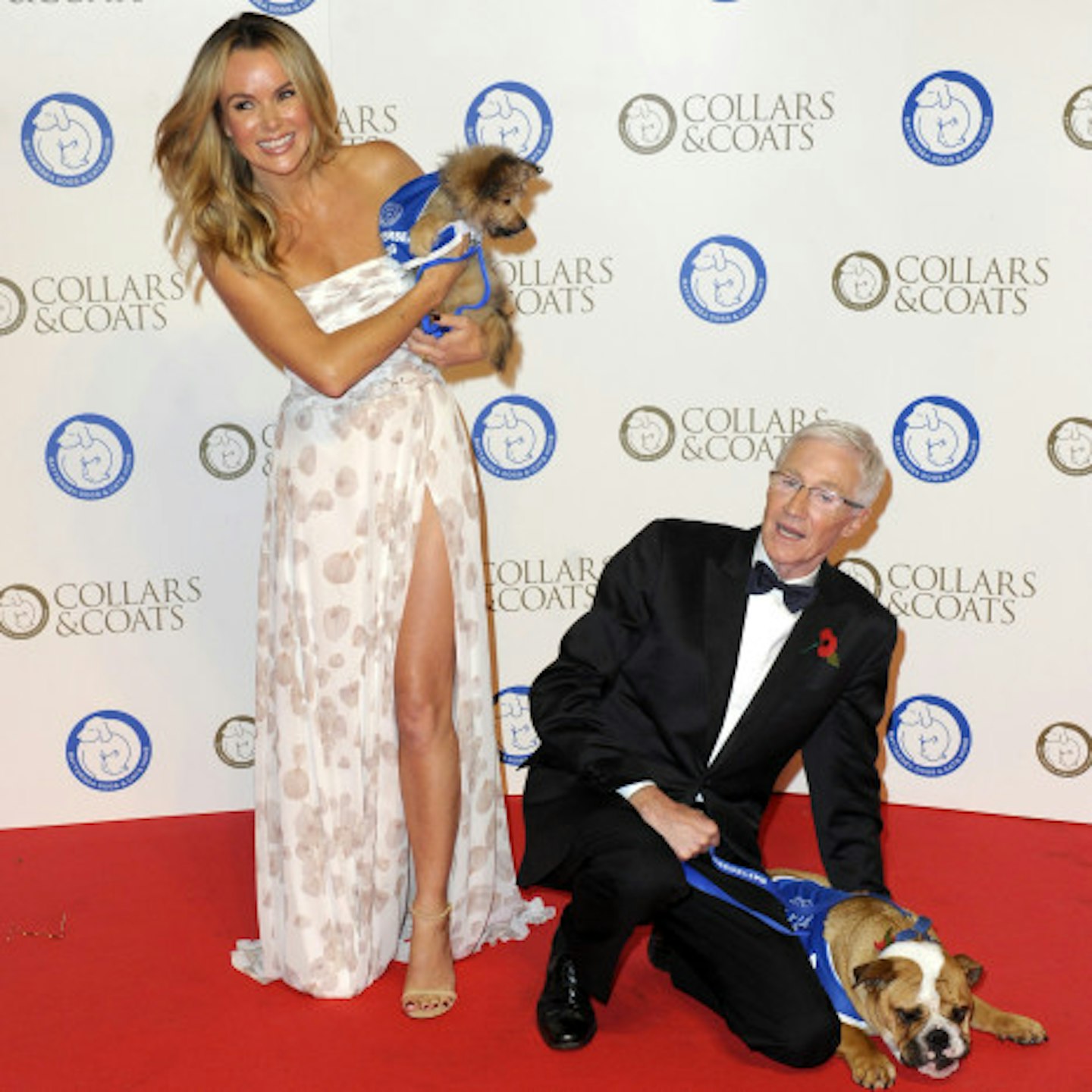 Amanda Holden and Paul O'Grady at the Collar & Coats Gala, Battersea Dogs Home