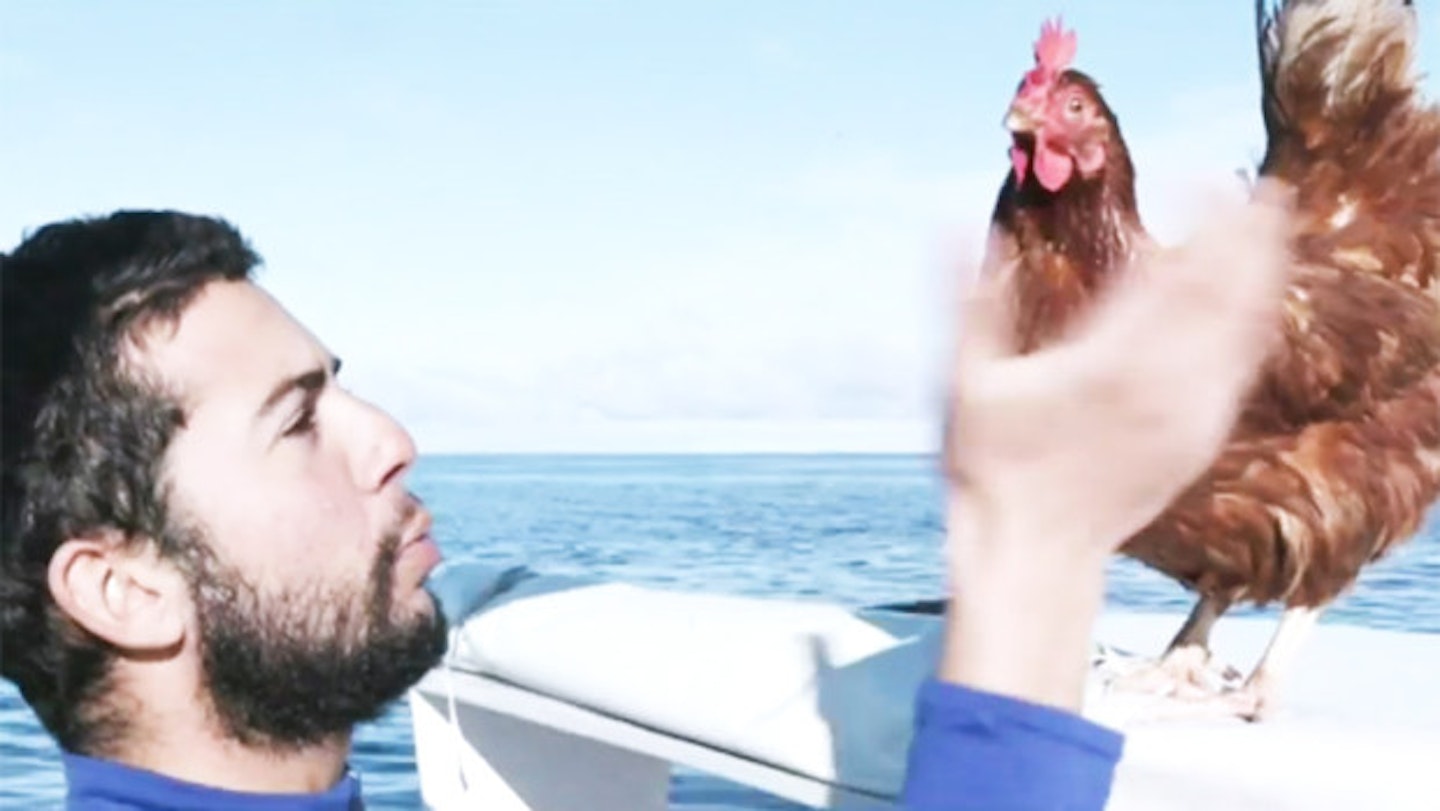Dreamy Man Sails Around The World With His Pet Hen Monique. Because Why Not?