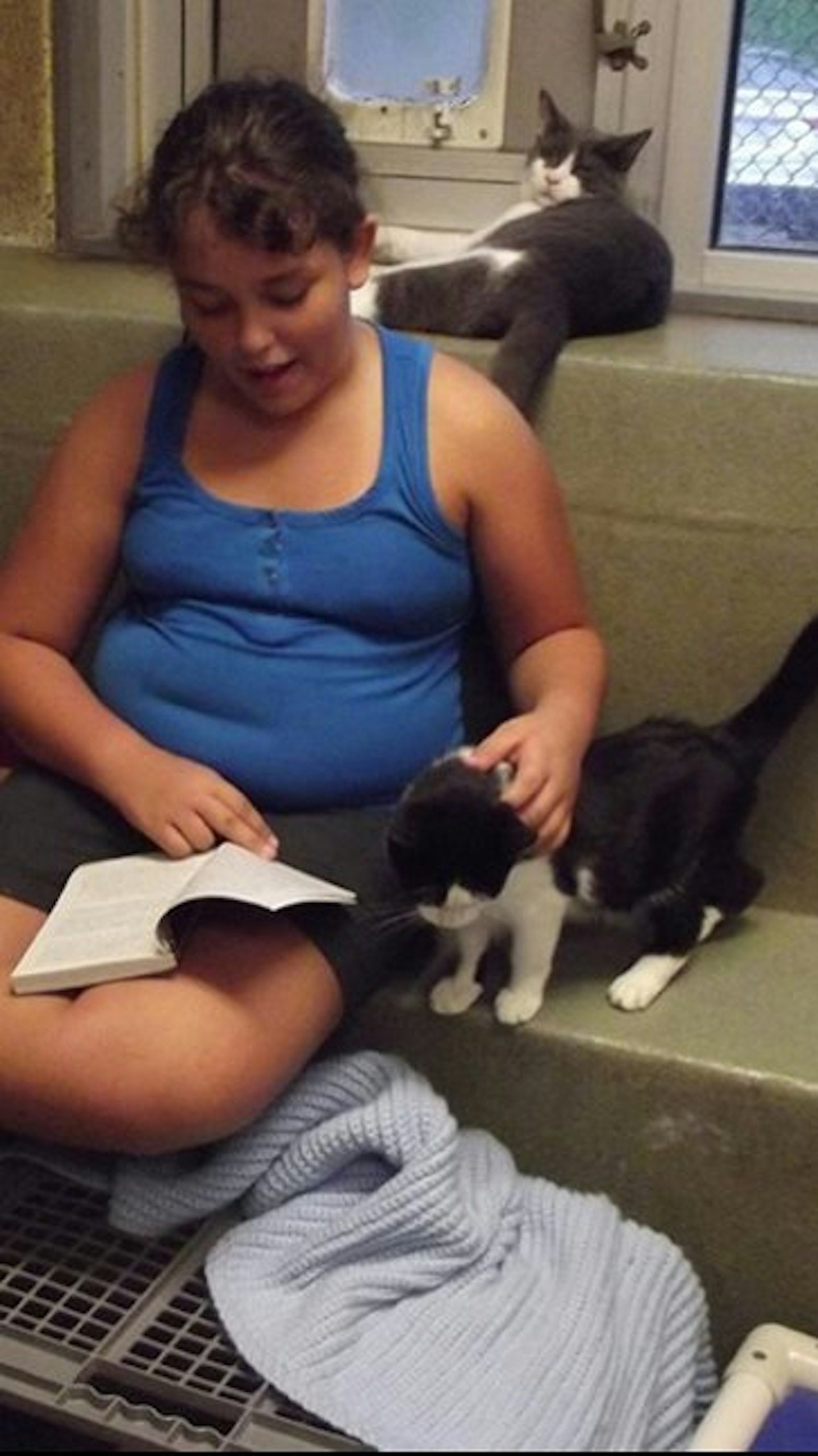 cats10