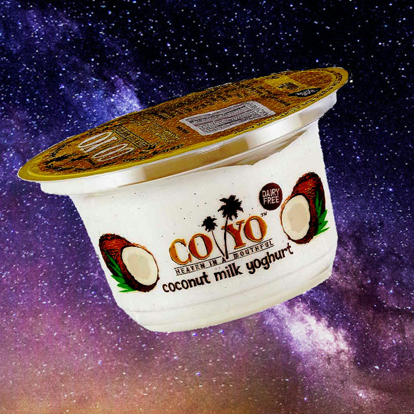 vegan yogurt