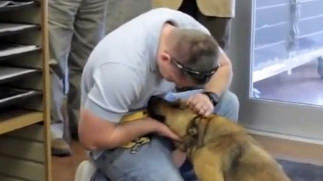 VIDEO: Watch this dog being reunited with its owner after it went ...