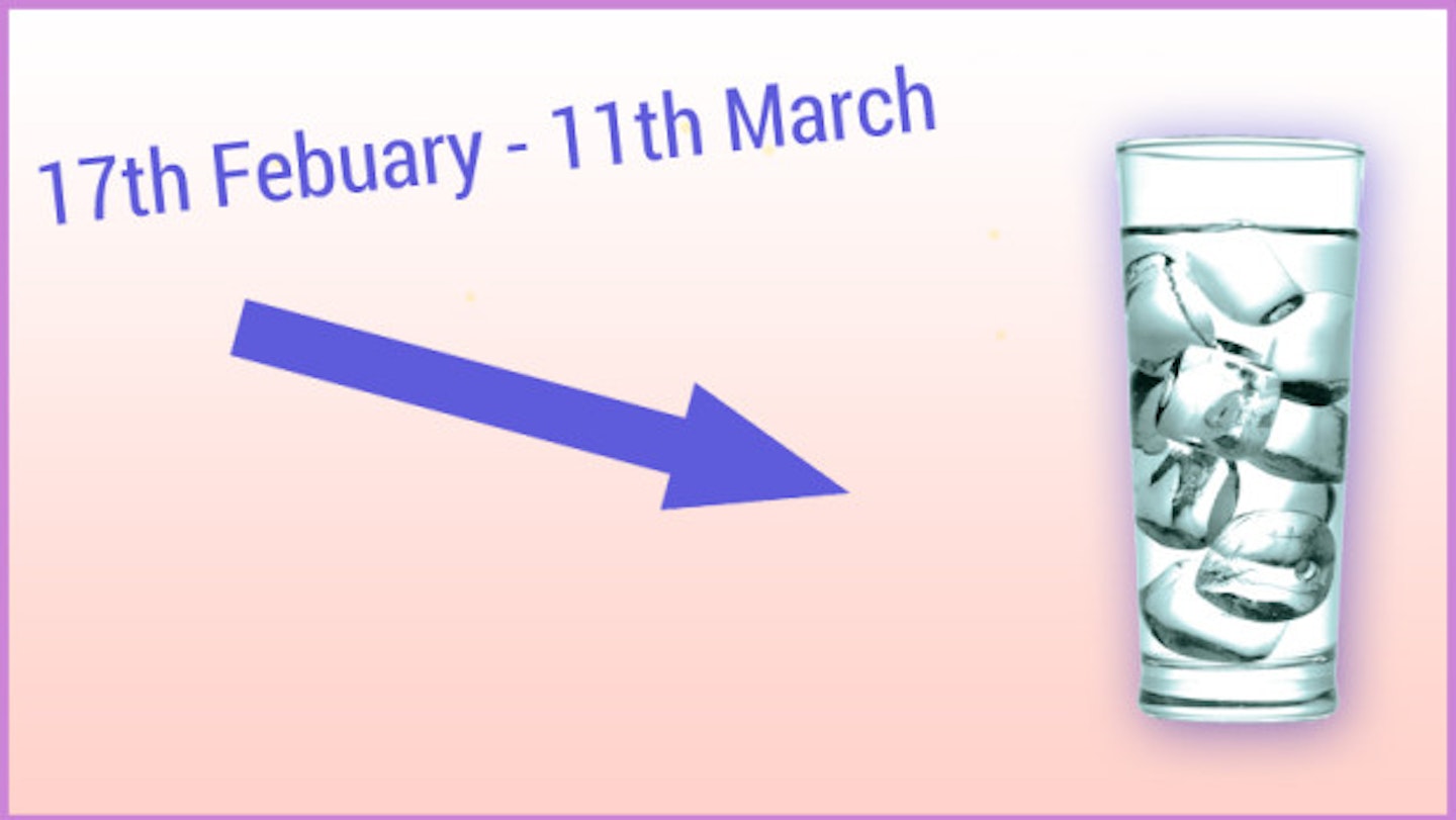 17th February - 12th March: Aquarius (the water bearer)
