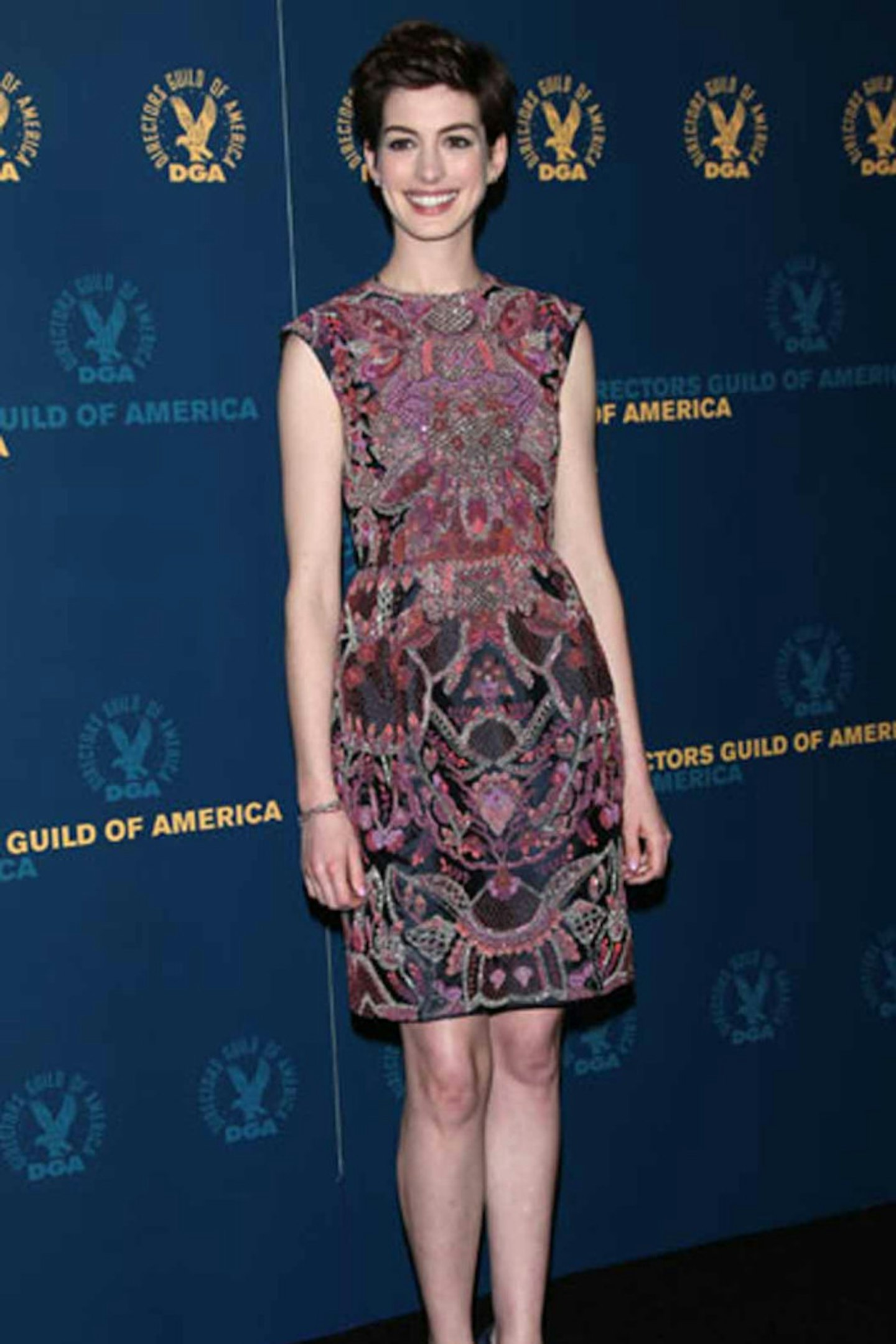 Anne Hathaway style valentino couture 2013 pattern shift dress