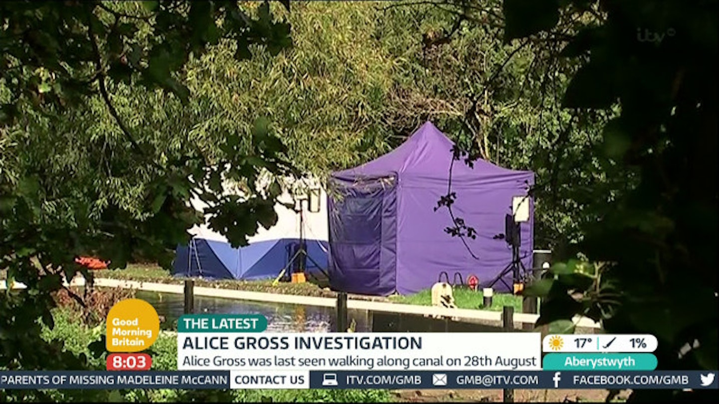 Over 600 officers searched for Alice