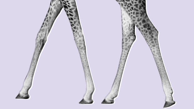 what-happens-when-tall-people-shop-grazia