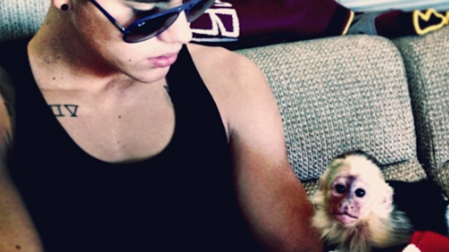 Justin beiber with monkey