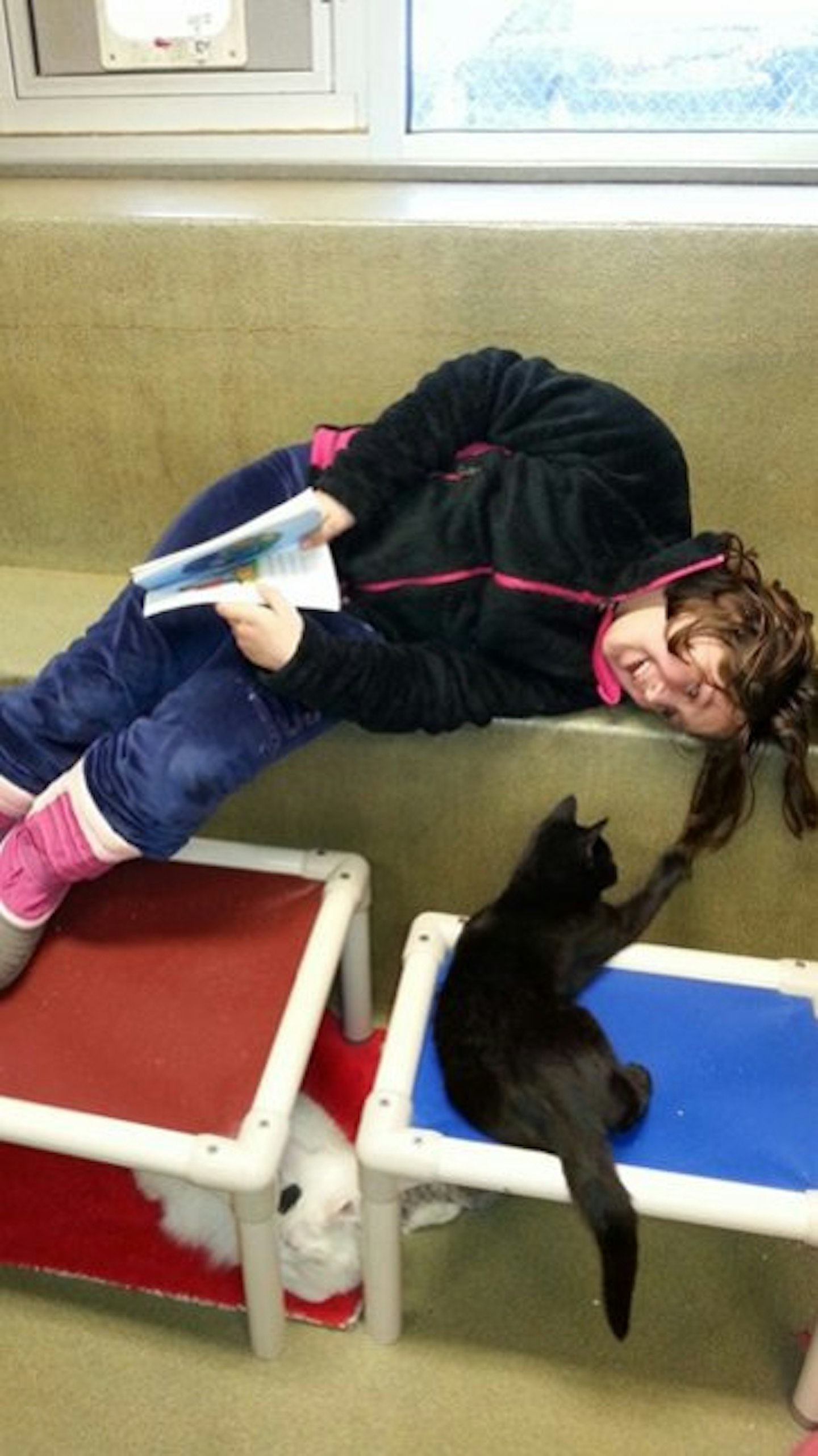 cats6