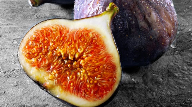 The gross reason why figs AREN’T vegetarian Closer