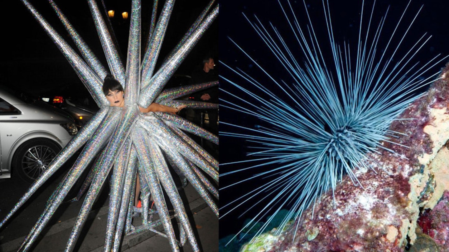 After Lady Gaga's mad inflatable dress is described as a sea urchin showgirl, we thought of other things it reminds us of | Celebrity | Heat After Lady Gaga's mad inflatable dress is described as a sea urchin showgirl, we thought of other things it reminds us of | Celebrity | Heat