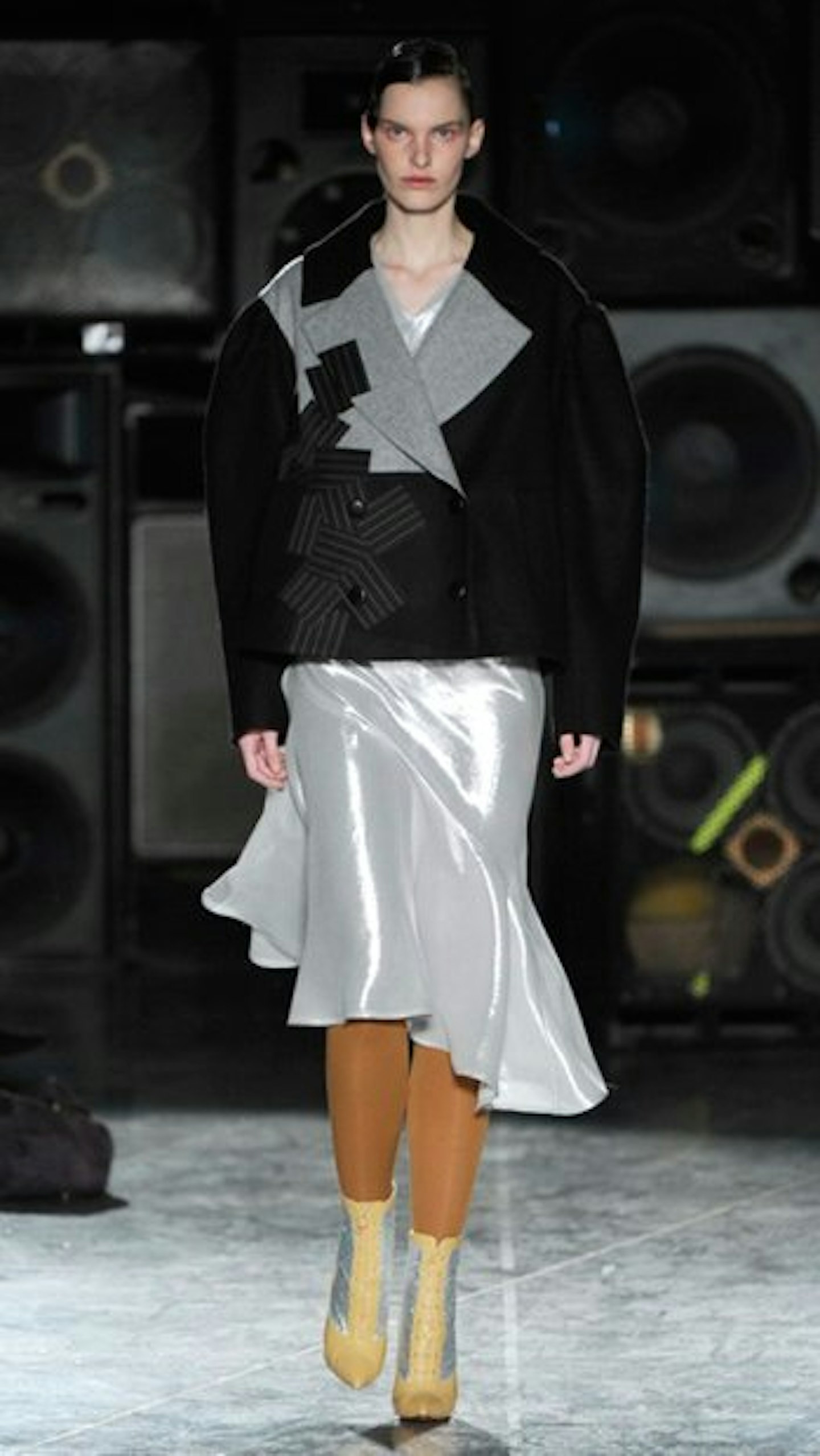 Yet More Silver Skirts