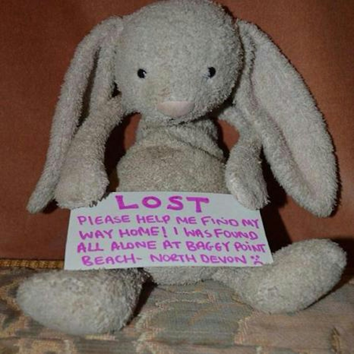Would Pink Bunny ever find her way home?