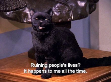 Salem The Cat Quotes Salem From Sabrina The Teenage Witch's Best Quotes | Grazia