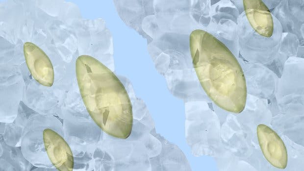 Iceland Are Now Selling Frozen PreSliced Avocados