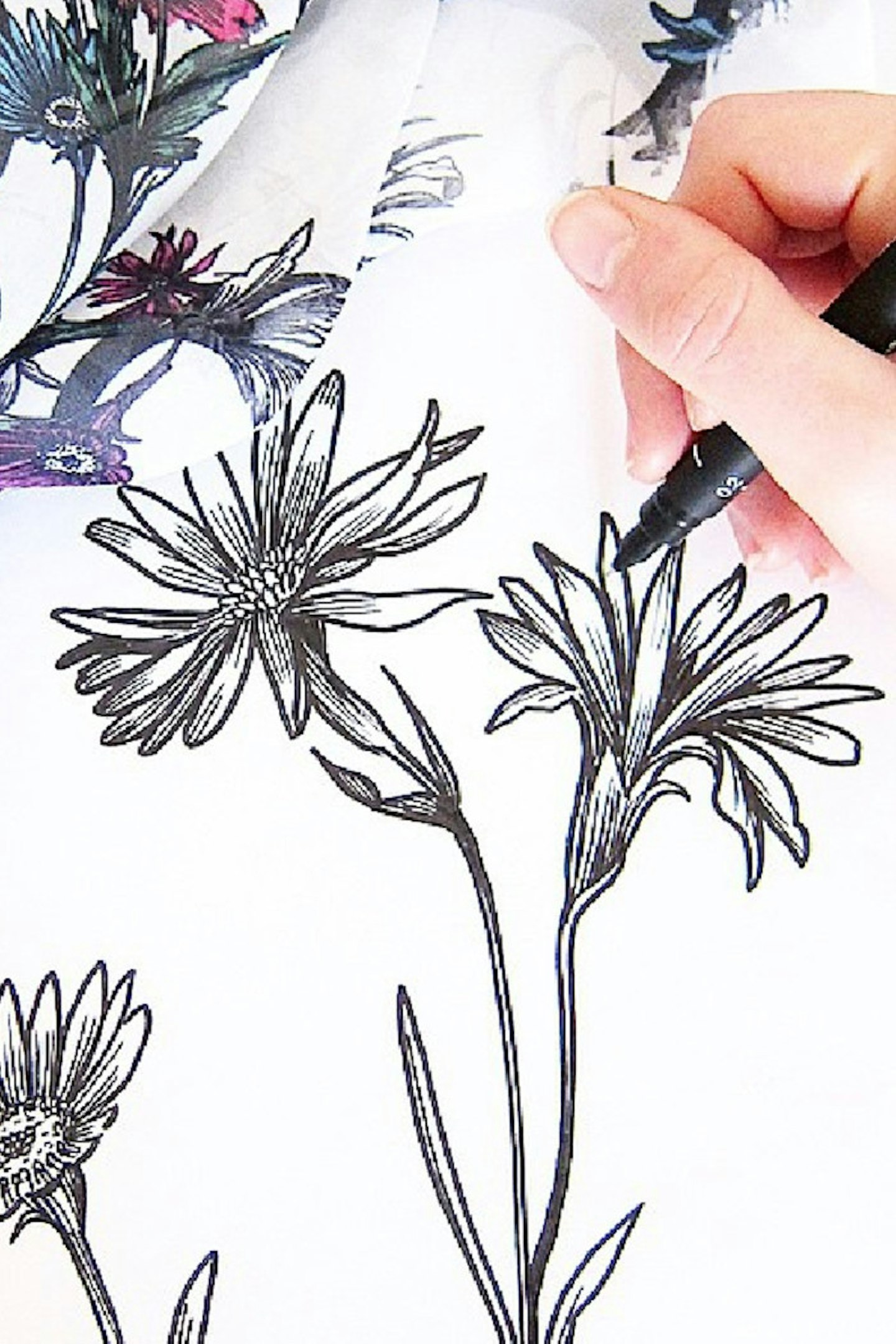Pen work in the studio