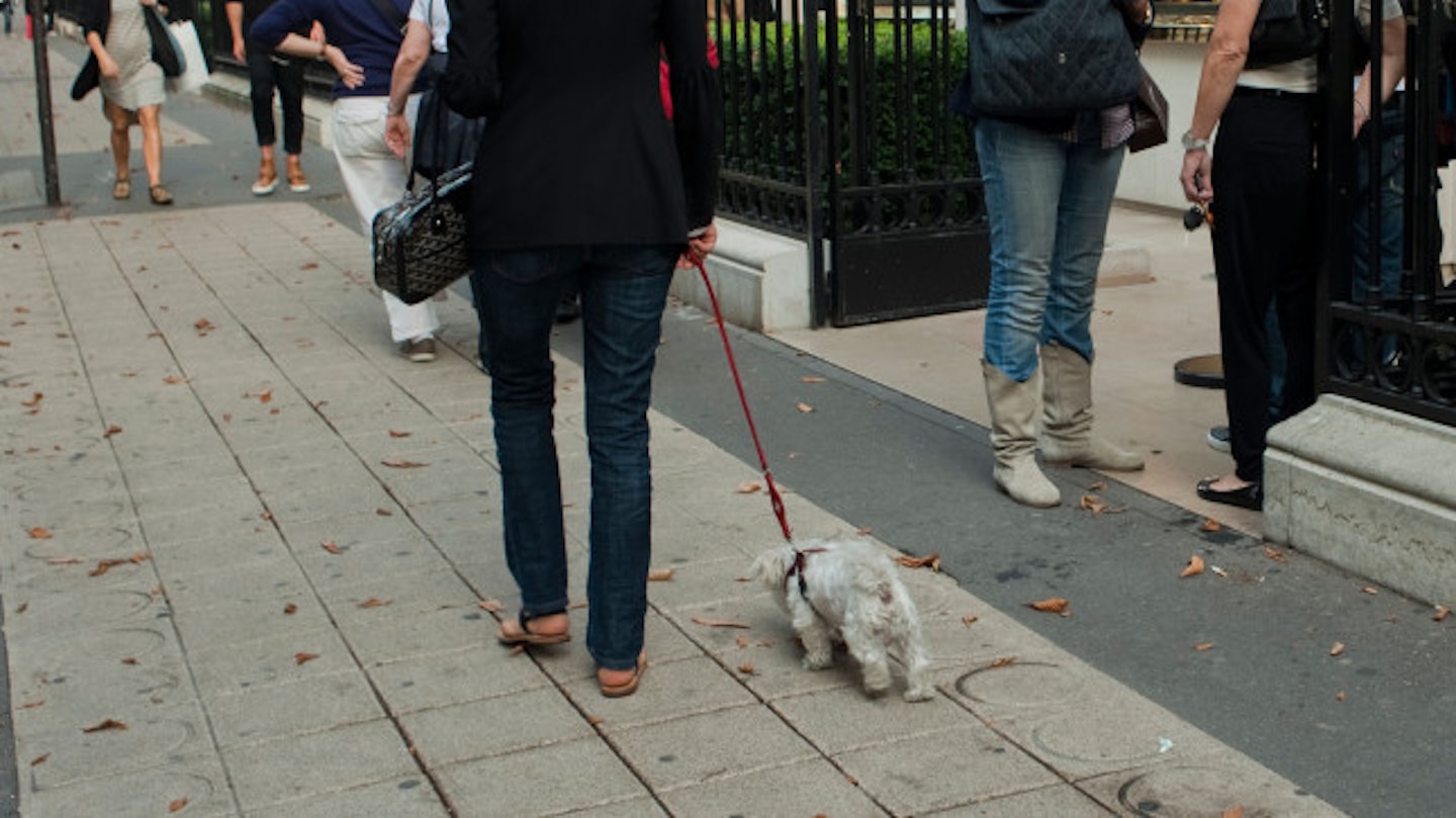 The teenager was walking her dog when she was snatched (stock image)
