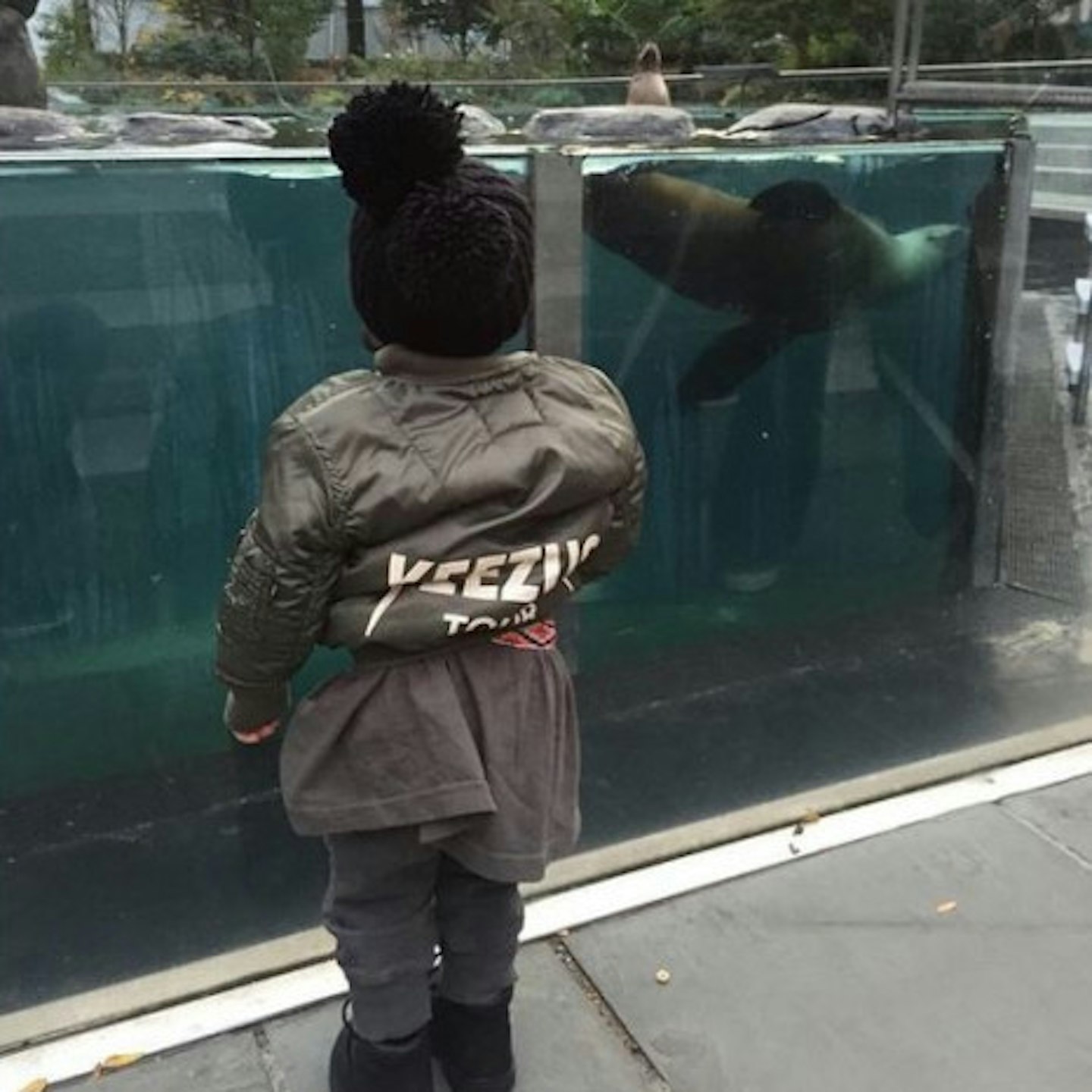 Kim was fascinated by the seals...