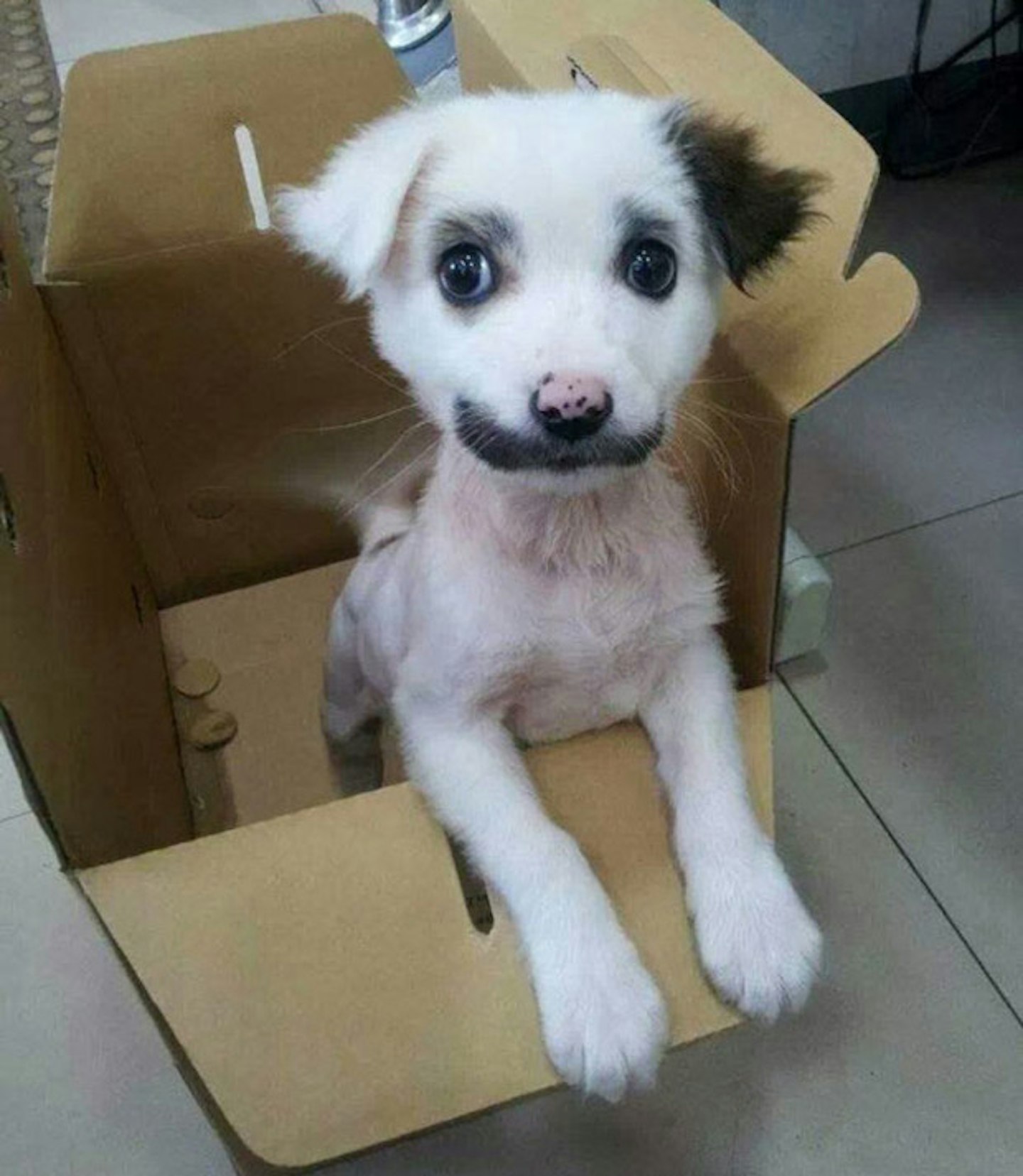 Incredible moustache and eyeshadow