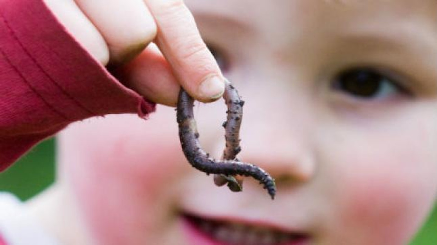 worms