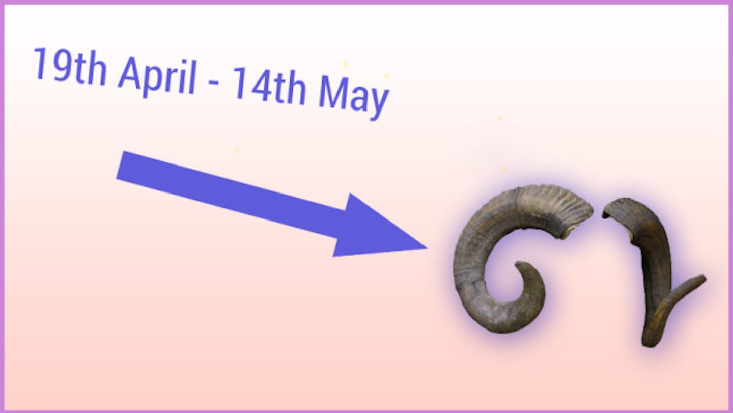 19th April - 14th May: Aries (the ram)