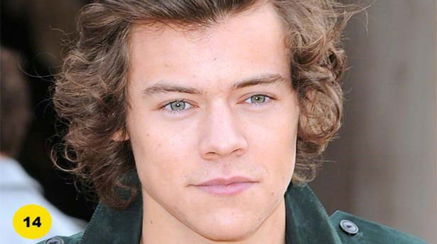 hot-celebrity-men-pictures-harry-styles