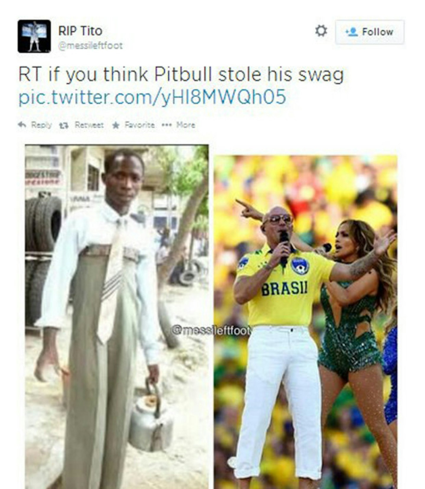 pitbull6