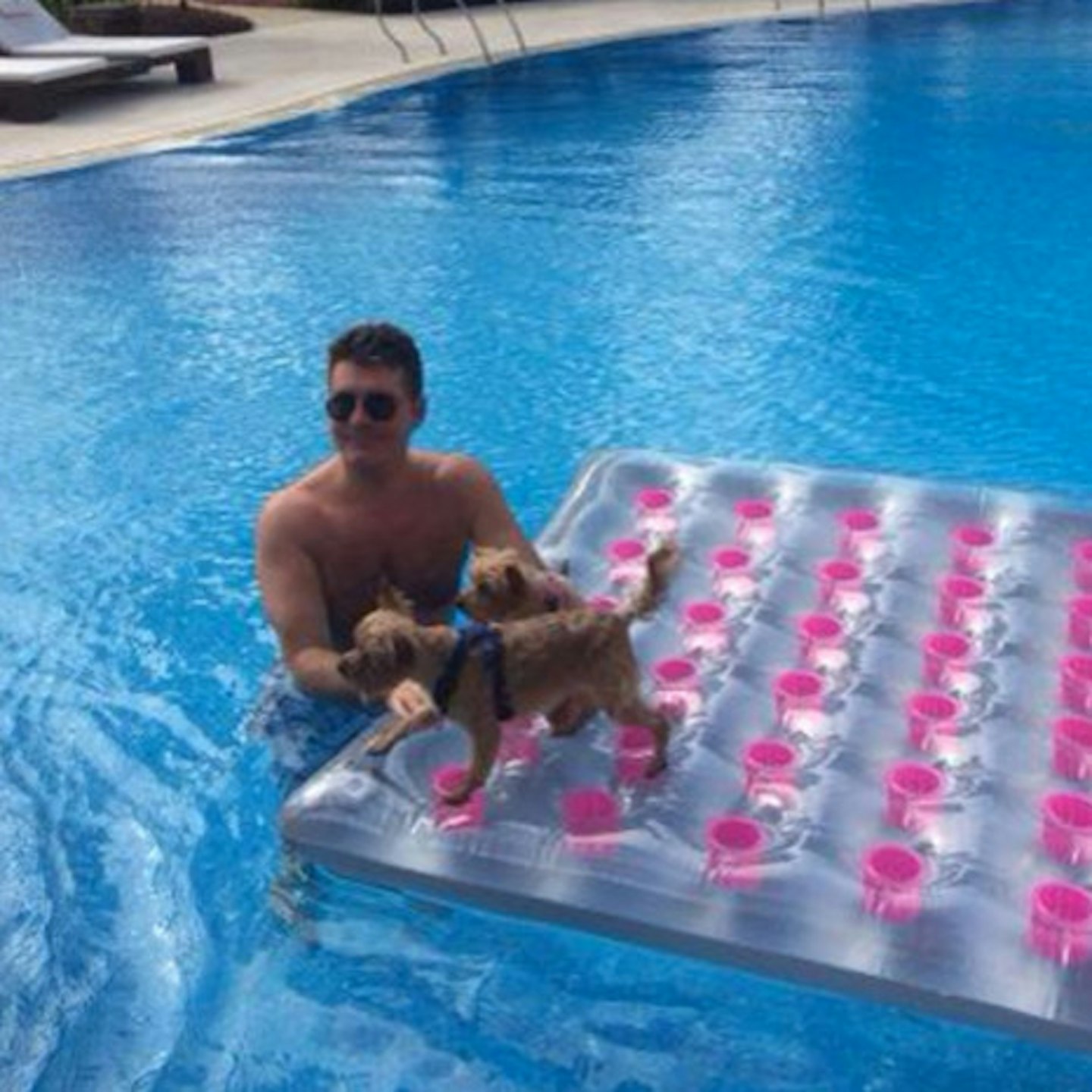 Simon's pooches go literally everywhere with him – even the pool!