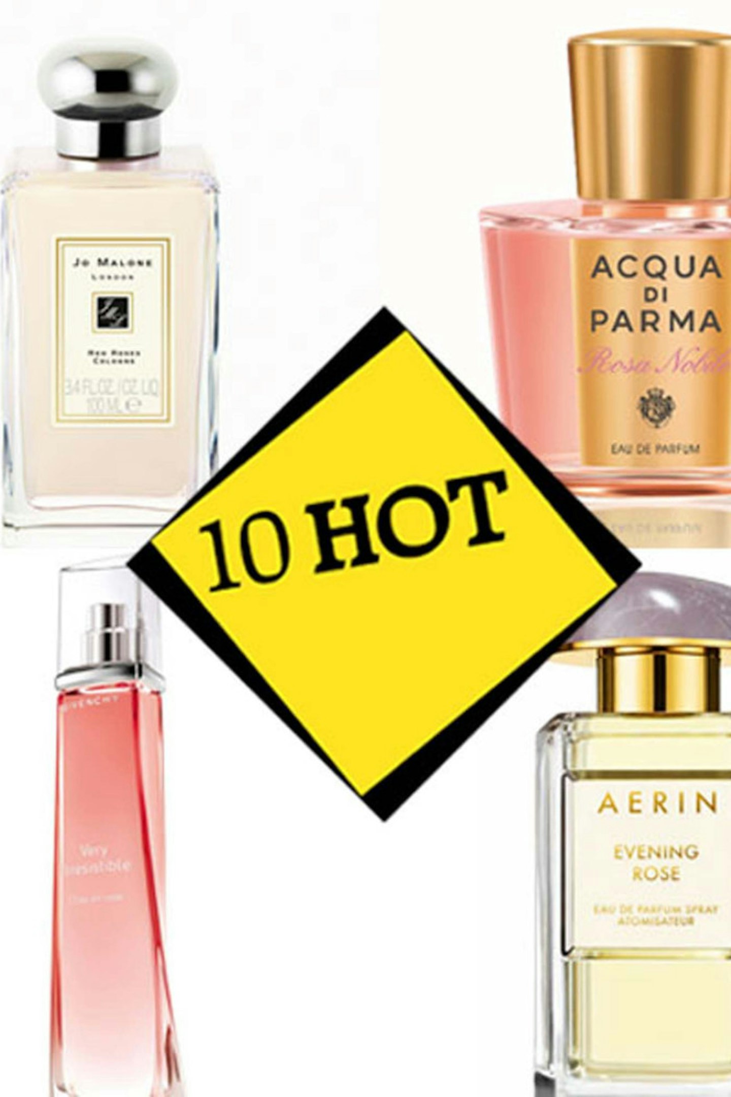 GALLERY>> THE TOP 10 ROSE FRAGRANCES