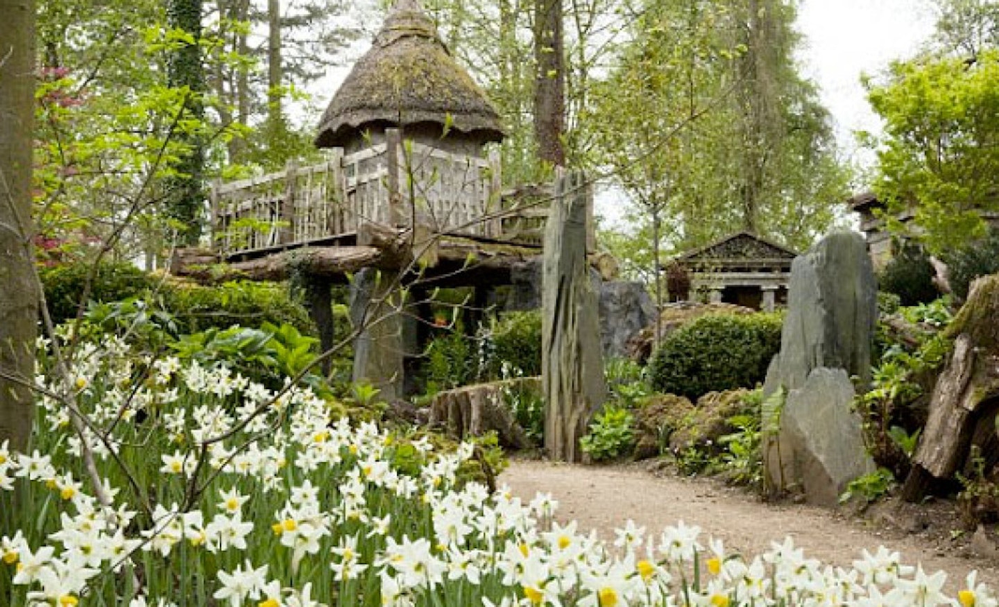 treehouse