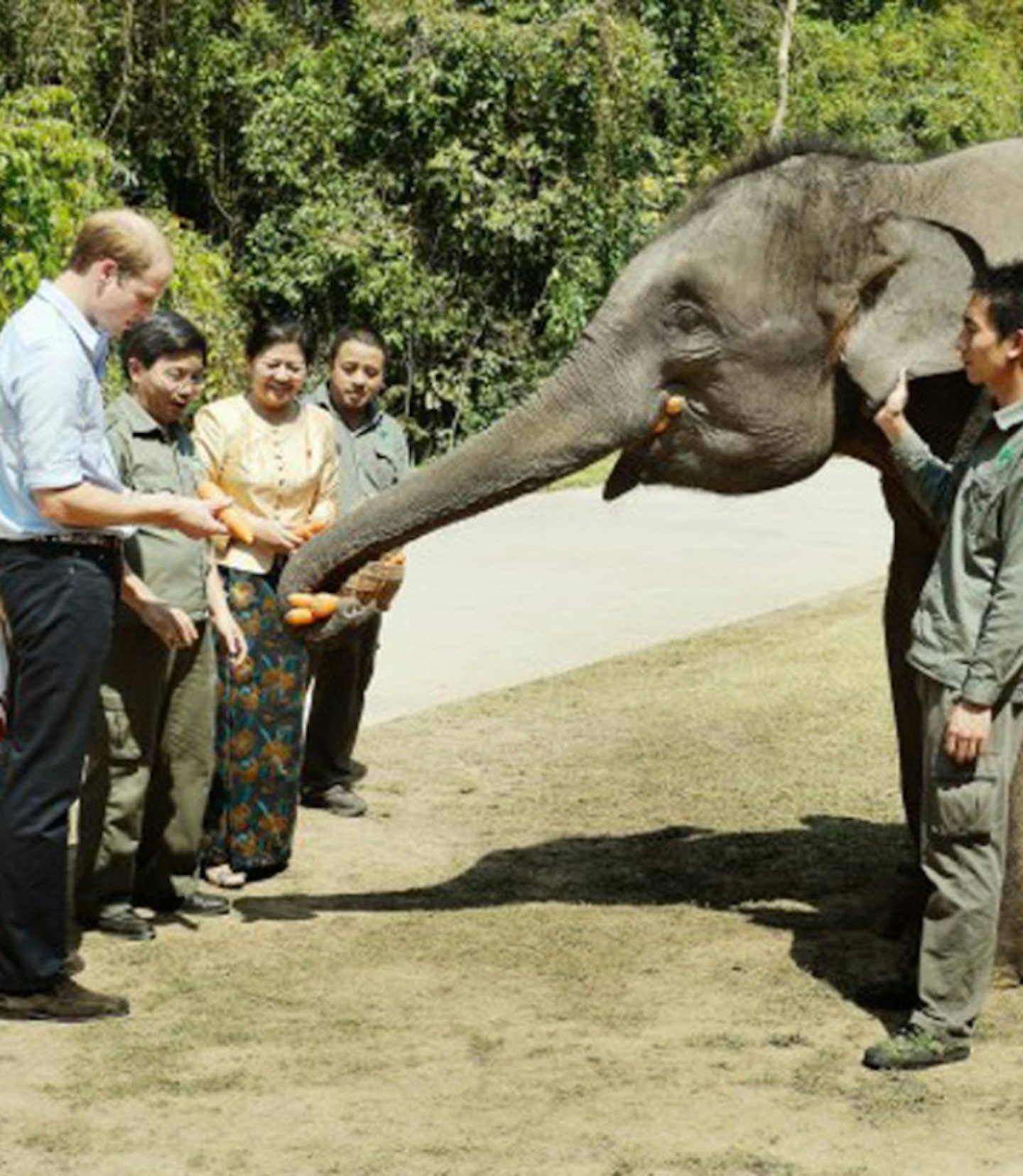 Prince-William-elephant3