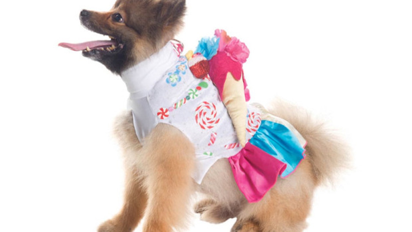 Candy Girl Dog Costume
