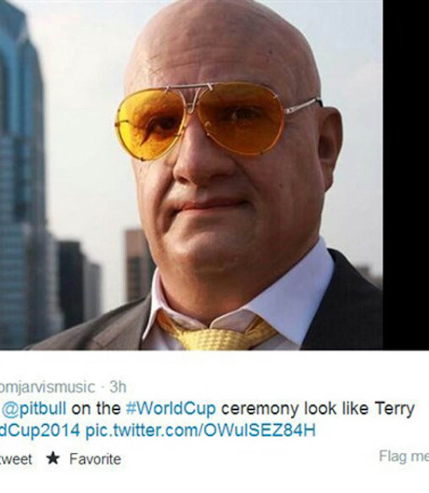 pitbull10