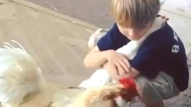 VIDEO: Boy gets a heartwarming cuddle… from a chicken! | Closer